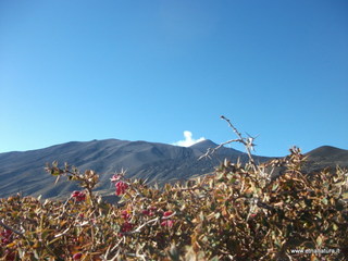 nte Pizzillo-21-10-2012 08-52-53